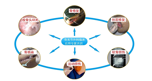 圖片8.jpg